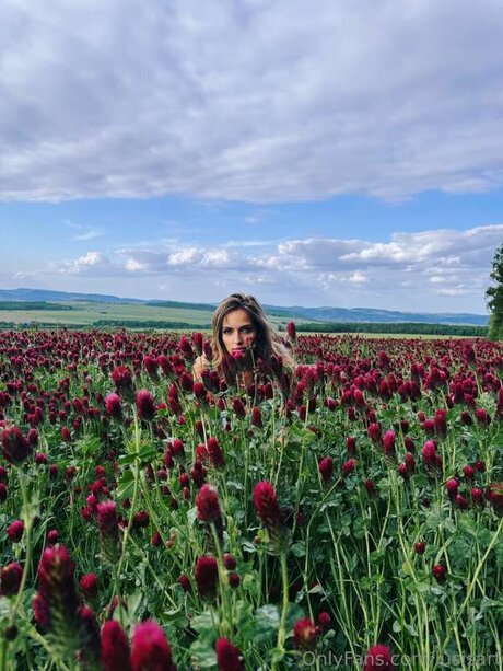 Lusisart art star picture