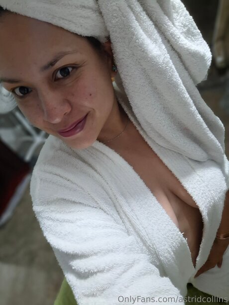 Astridcollins art star gallery