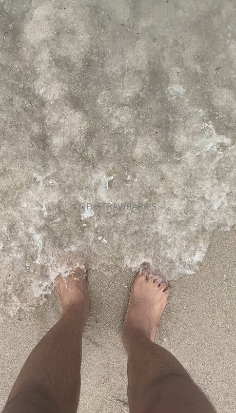 Strawbaries art star gallery