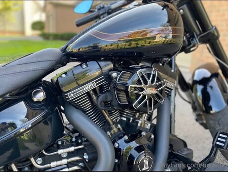 Bedellx pornstar top galleries