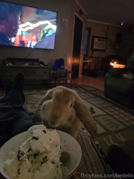 Bedellx porn star photos