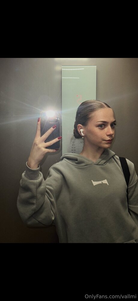 Vallmi model art images