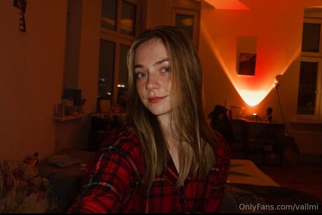 Vallmi nice model archive