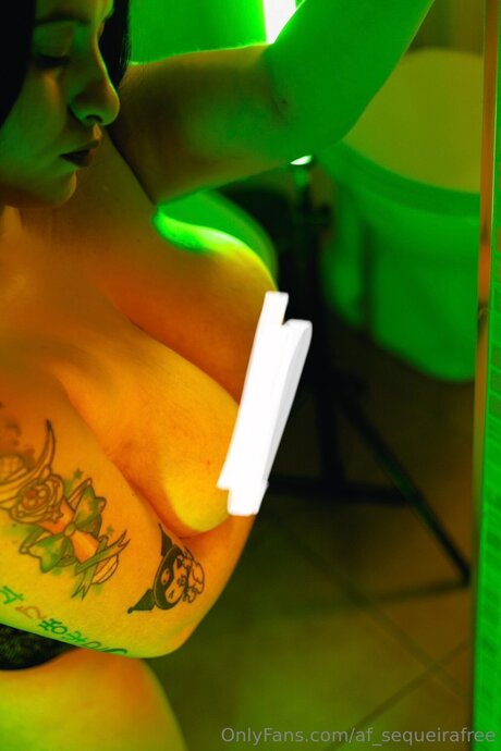 Af Sequeirafree art model archive