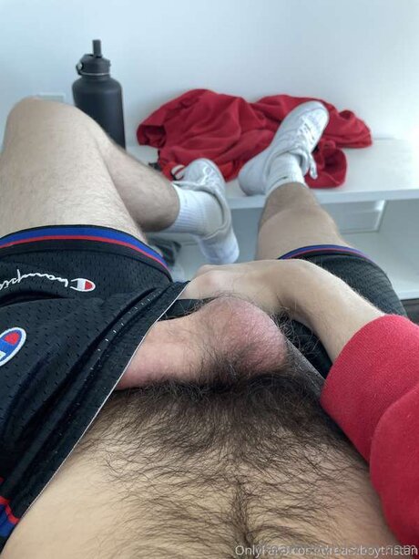 Tristan West pornstar nude img