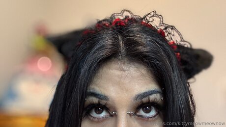 Kittymeowmeownow adult model image