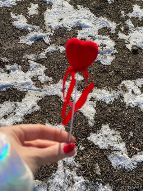 Fairy Prinsess adult star img