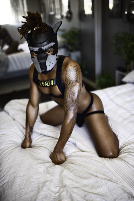 Qxvisuals naked pornstar pictures