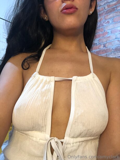 Amyclark naked actress picture