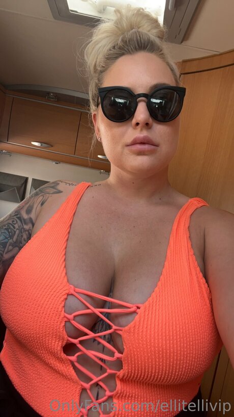 Ellitellivip star perfect archive