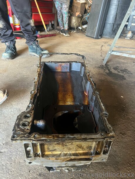 Xxgoldilocksxx pornstar nice pic