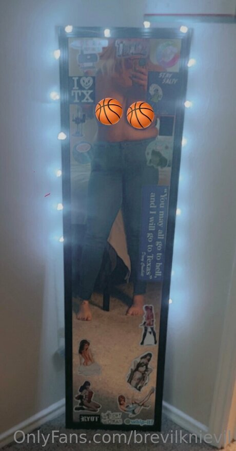 Brevilknievil star high quality picture