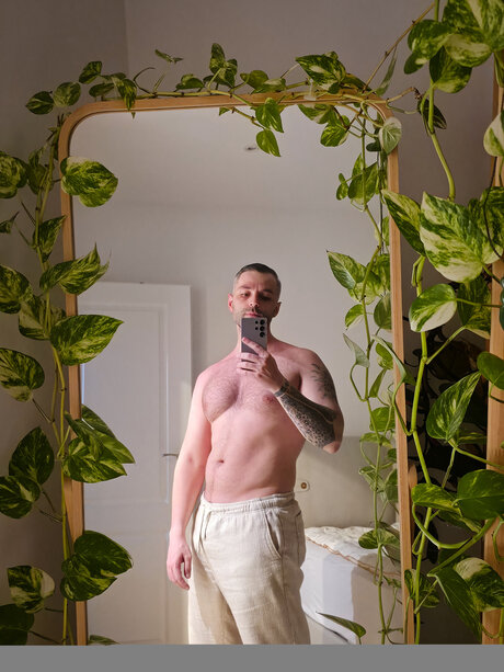 Deonix Free star art images