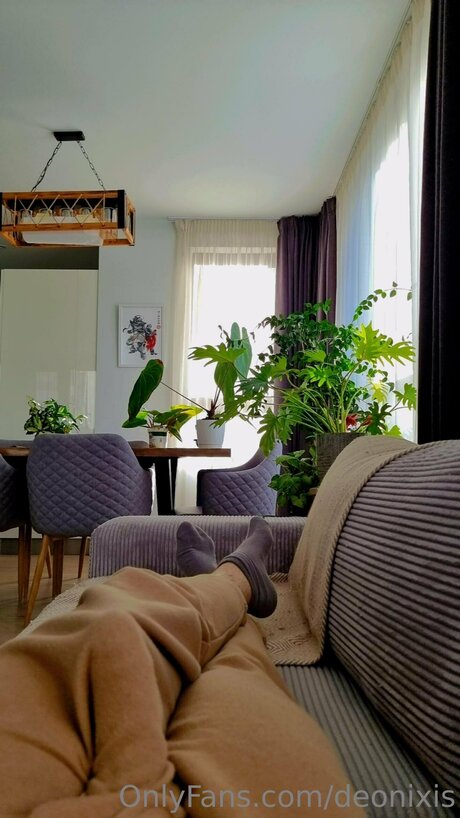 Deonix Free star hot images