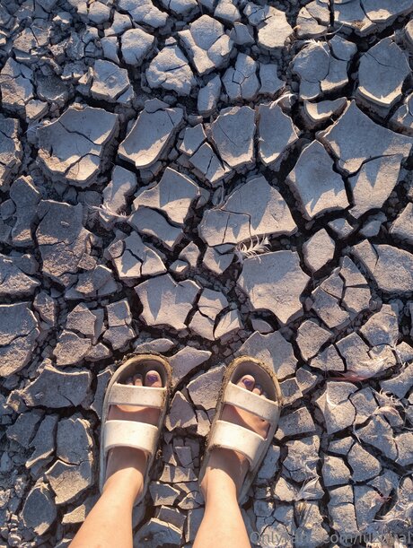 Luzgyal nude star pics