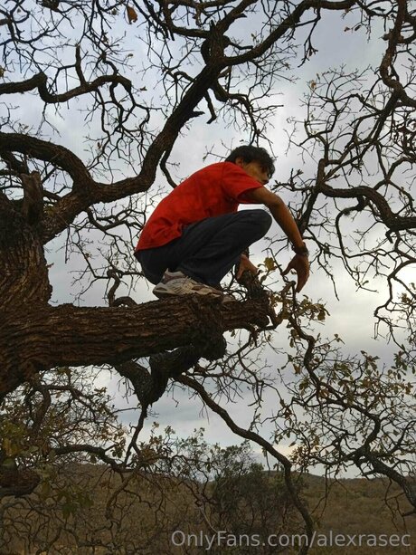 Alexrasec best pornstar pic