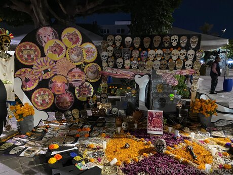 Alexrasec pornstar top pic