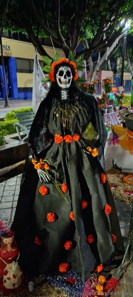 Alexrasec star high quality galleries