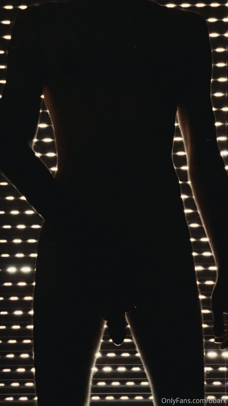 Obark model perfect image