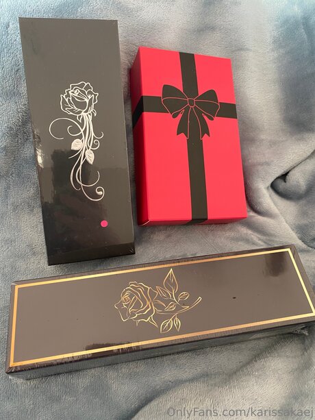 Karissakaej naked pornstar photo