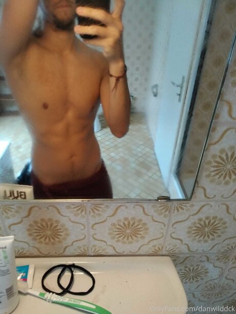 Danwilddck star galleries