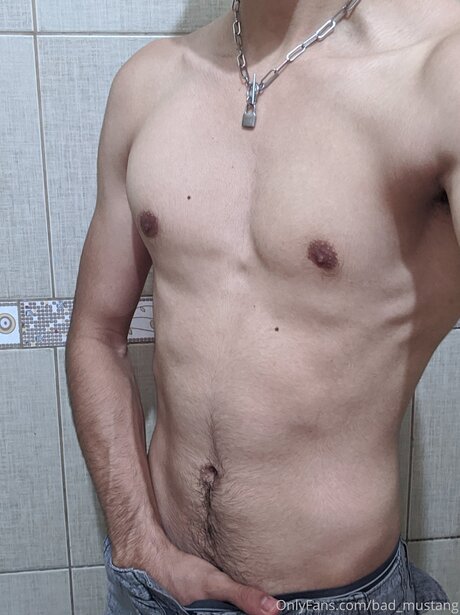 Bad Mustang model art archive