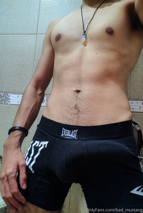 Bad Mustang high quality model picture