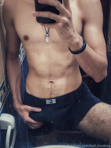 Bad Mustang pretty model archive