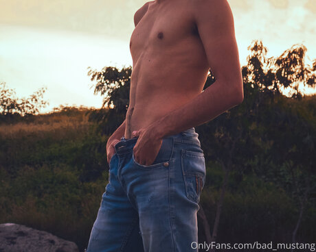 Bad Mustang model nice img