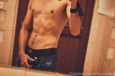 Bad Mustang pornographic star image