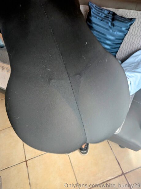 White Bunny29 pornstar best images