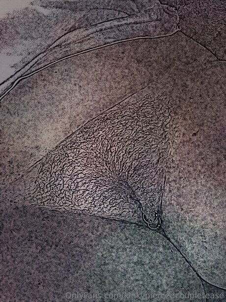 Kinkypiercedcoupletease adult model gallery