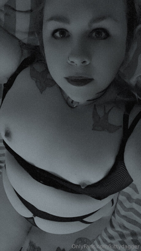 Kittydagger pornstar nudes image