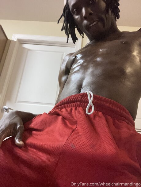 Wheelchairmandingo top model photos