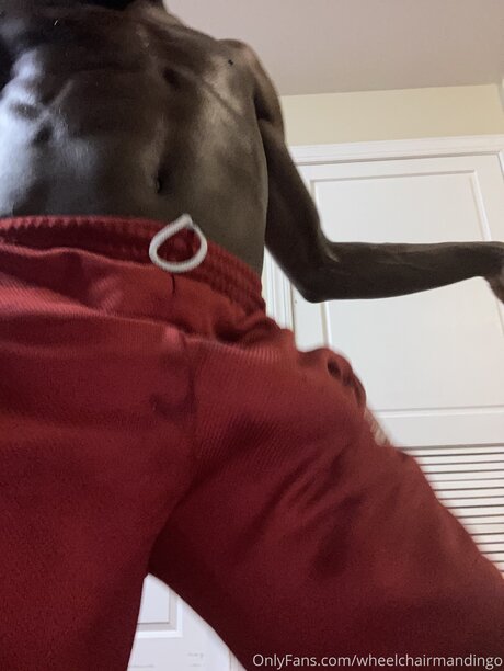 Wheelchairmandingo xxx model pictures