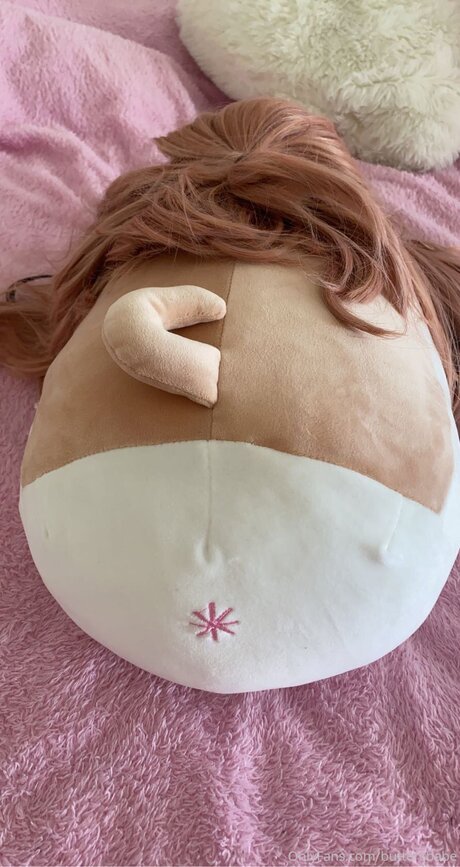 Zaykap model hd images