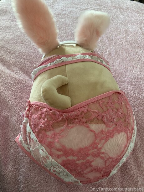 Zaykap adult star photos