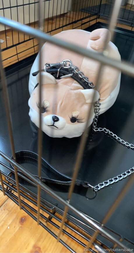 Zaykap model free picture