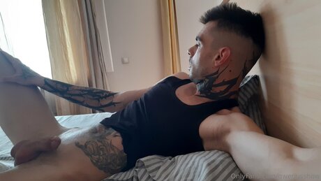 Qweriusshow free star pics