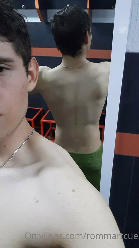 Rommartcue model picture