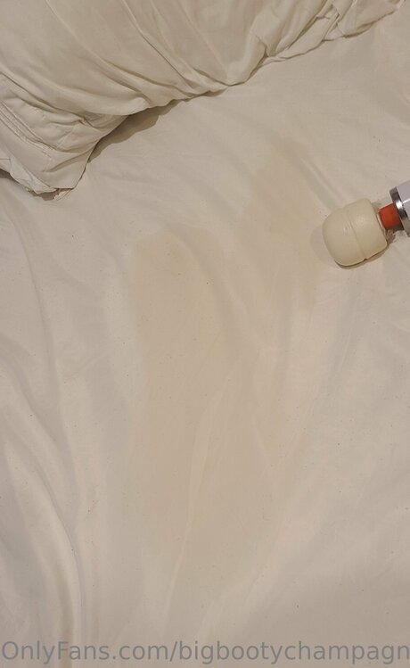 Bigbootychampagne pornstar top archive
