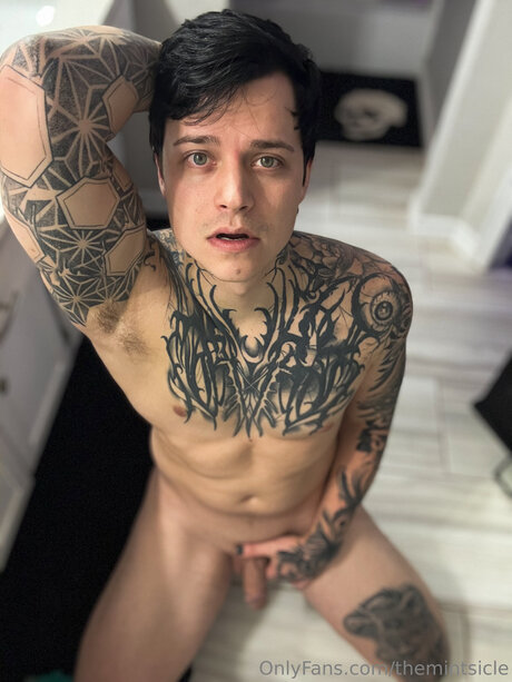 Themintsicle pornographic star gallery