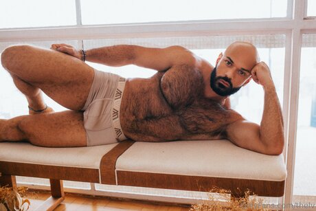 Thelv star art galleries