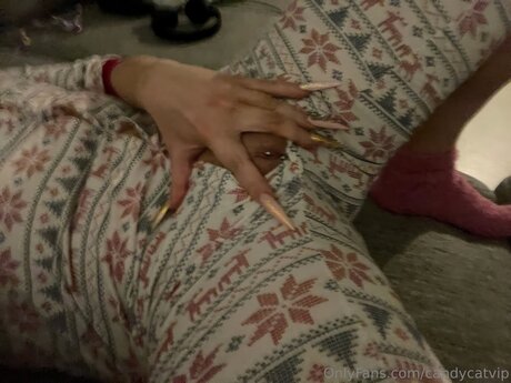 Candycatvip Profile pic