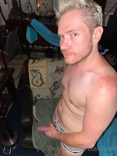 Bbbranden pornstar art photos