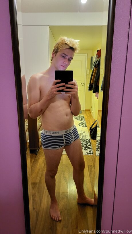 Punnettwillow star sex image