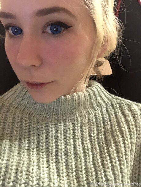 Evswezfree erotic pornstar galleries