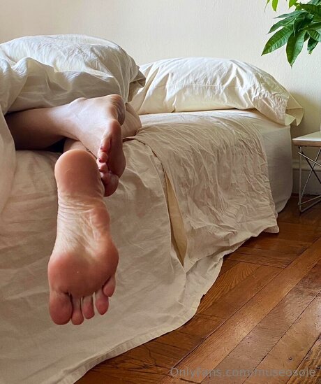 Museosole free actress gallery