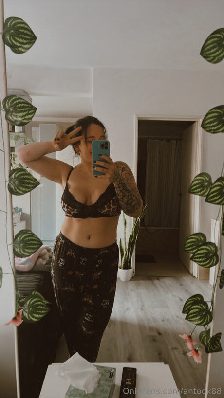 Antook88 star archive