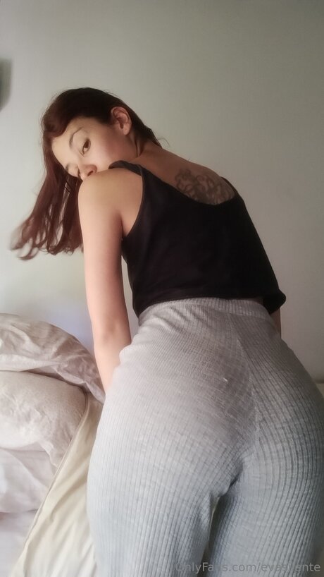 Evasilente perfect model image